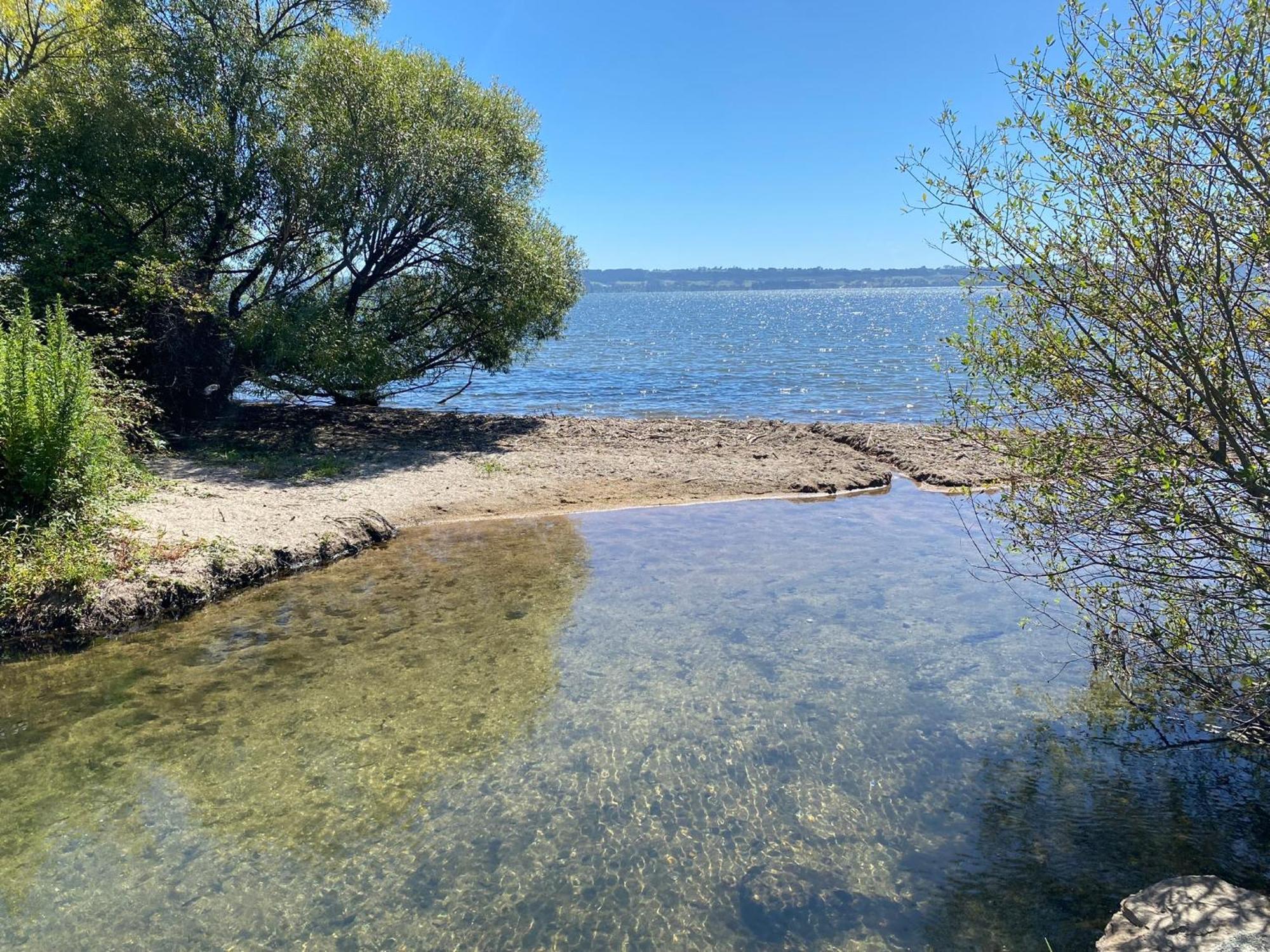 רוטורואה Zodiac Bay Lake Retreat מראה חיצוני תמונה